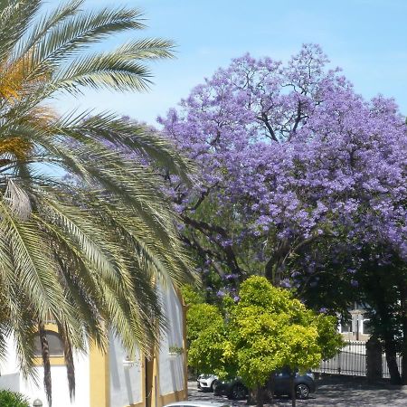 Real Escuela Home Jerez de la Frontera Eksteriør billede
